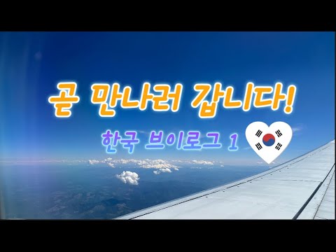 [ENG]🇰🇷저 한국 왔어요. I am here at Korea!