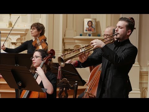 Torelli: Trumpet Concerto in D Major "Estienne Roger 188" Voices of Music with Dominic Favia 4K