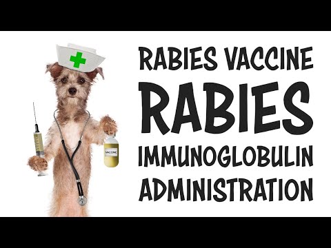 Rabies Vaccine and Immunoglobulin for Dog Bite Emergency