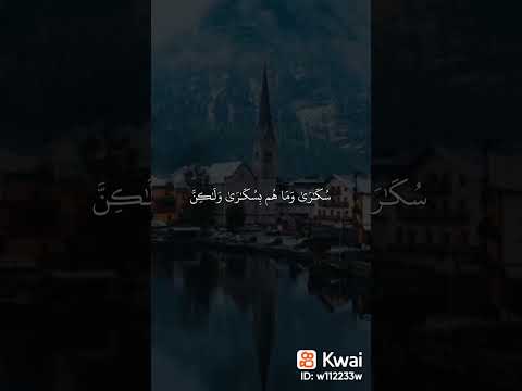 آيات القرآن الكريم