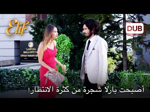 لم يرجع كرم إلى رشده! | أليف الحلقة 923 دوبلاج عربي