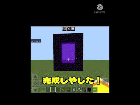 [マイクラ]検証オウムを肩に乗せたらネザーやエンドに行けない事件！#shorts