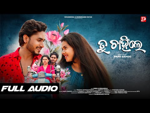 Tu Chahinle Female | Full Audio | Best Of Aseema Panda | Odia Romantic Song