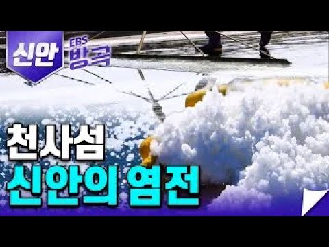 대한민국 대표 소금 섬인 신안, 신안의 염전에 대한 모든 것