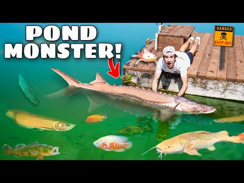 We FINALLY Caught The POND MONSTER...