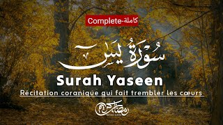 سورة يس Surah Yaseen (كاملة) | تلاوة تريح القلب ❤️ | #سوره #سور_الرزق #سورة_يس