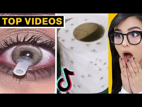 TikToks That Will Unlock A New Fear | SSSniperWolf