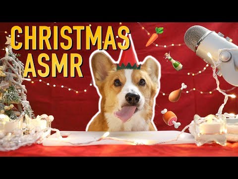 CHRISTMAS FOOD ASMR - Topi the Corgi