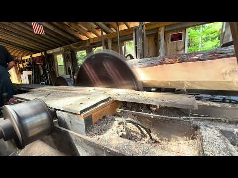 Quarter Sawing Huge Pine