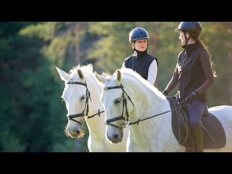 Horse riding and caring for horses | Horseback Riding Video