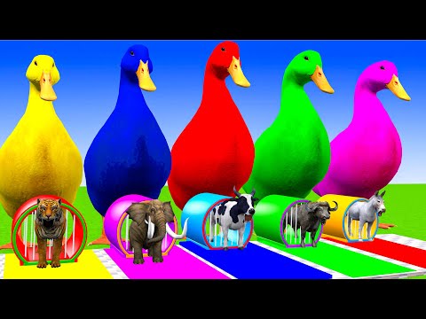 5 Giant Duck, Monkey, Piglet, chicken, Pig, mammoth,tiger, Sheep, Transfiguration funny animal 2025