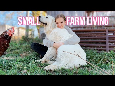 The life of a Farm Girl | Realistic Farm Vlog