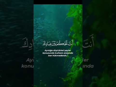 قُلِ اللَّهُمَّ فَاطِرَ السَّمَاوَاتِ وَالْأَرْضِ - ماهر المعيقلي