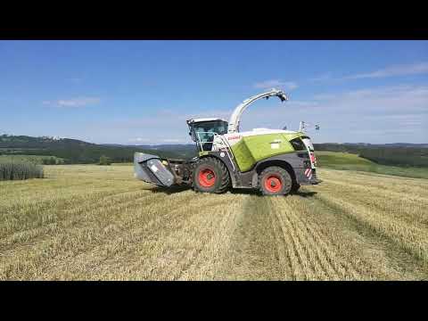 Žita 2024 | 3x John Deere, Claas, Tatra, MCcormick