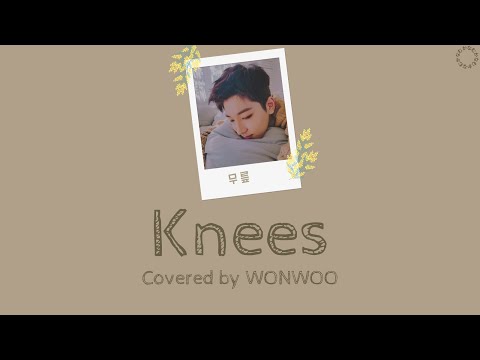 [日本語字幕/カナルビ] 膝 (무릎/Knees) - ウォヌ(WONWOO）/ SEVENTEEN / COVER/ 原曲IU