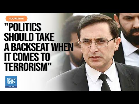 Politics Should Take A Backseat When It Comes To Terrorism: Barrister Gohar | Dawn News English