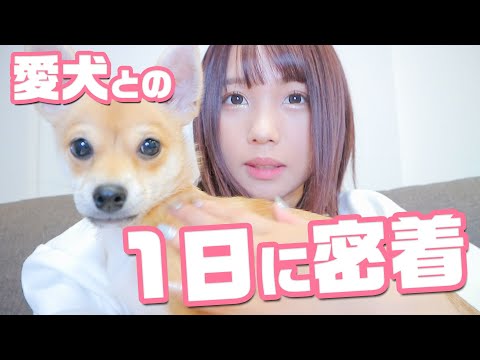 【1日密着】新居で愛犬とのリアルな暮らしを大公開♡