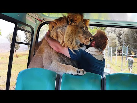 Most Unbelievable Animal Moments Ever Caught On Camera !