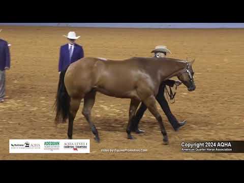 2-Year-Old Mares - 2024 AQHA World Championship Show