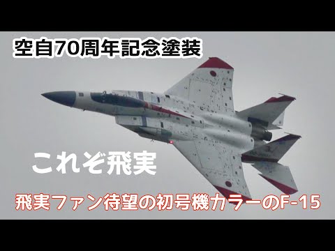 空自70周年記念塗装機 岐阜と言ったらテスターカラー【岐阜基地航空祭2024 予行】