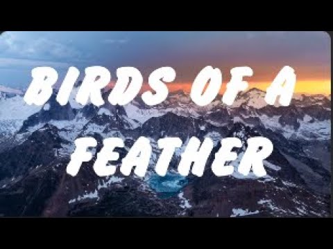 Billie Eilish - BIRDS OF A FEATHER (Lyrics),Ed Sheeran,Lana Del Rey