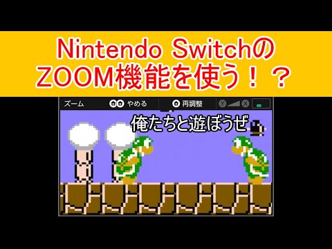 一寸先は闇マリオ#9 Nintendo SwitchのZOOM機能を使う！？ ZOOM MARIO