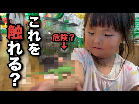 【川崎三姉妹物語】絶対触れない生き物を触る三姉妹達？おしゃべりする鳥もいる？初めてばかりで驚愕する3人