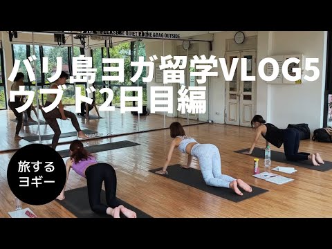 【バリ島 ヨガ留学】VLOG5 ウブド2日目  ラフティング＆ライステラス編