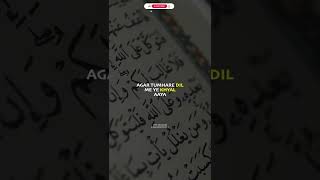 Dr. Israr Ahmed Beautiful Bayan Status | #shorts #drisrarahmed #drisrarahmedstatus #youtubeshorts