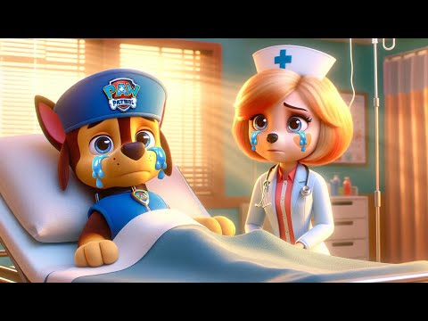 Paw Patrol Ultimate Rescue | What Happened To CHASE ? Poor SKYE !! | Happy Life Story | Rainbow 3