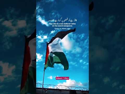 Free Palestine 🇵🇸 | #islamicvideo #islamicvibes #like #palestine