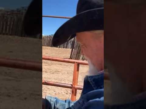 Watch the full video!!#cowboys #horse #jheartquarterhorses #ranching