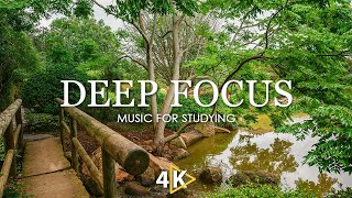 Work Music for Concentration - 12 Hours of Ambient Study Music to Concentrate #65