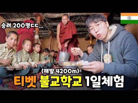 이상하게 한국을 잘 아는 히말라야 티벳 불교학교에 한국인이 가면 받는 극진한 대접- 🇮🇳인도(34)