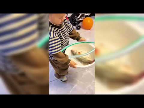 Happy Family goals| funny babies videos |