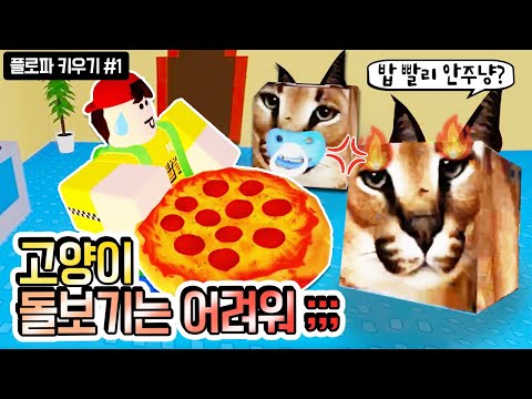 이상한 고양이 플로파 잘 키우는 법?! 플로파키우기 #1 [로블록스]