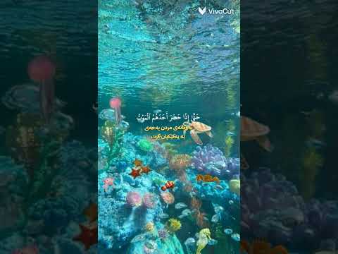 #راحة_نفسية 🌷