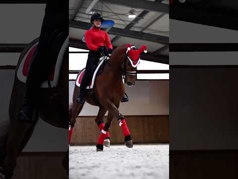 Christmas dressage🎅 #dressage #viral #christmas