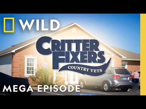 Critter Fixers: Country Vets | MEGA EPISODE | Nat Geo Animals