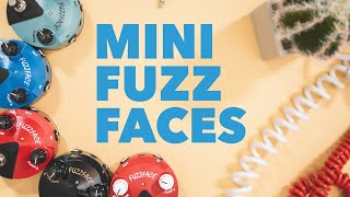 Why Dunlop Mini Fuzz Faces Are Awesome