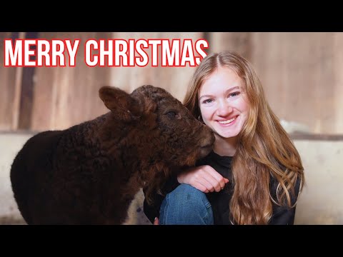 Christmas on a Small Farm 🎄✨