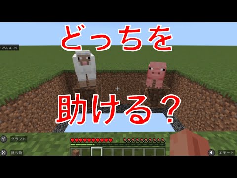 【マインクラフト 】どっちを助ける？