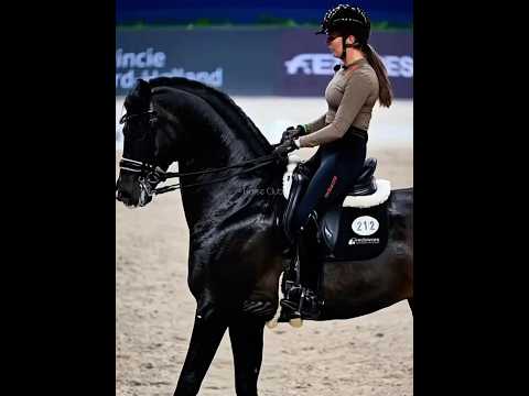 Little dressage edit🖤