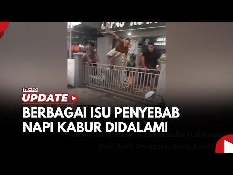 Napi Lapas Kutacane Kabur Diduga Dipicu soal Kualitas Makanan