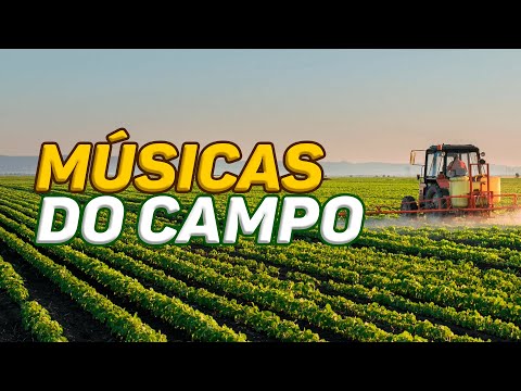 MÚSICAS MAIS FAMOSAS QUE FALAM SOBRE O CAMPO