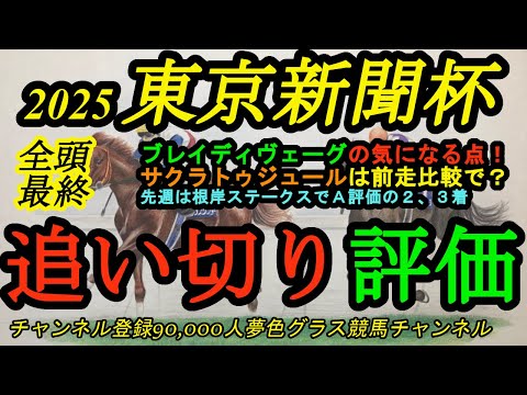 【最終追い切り評価】2025東京新聞杯！ブレイディヴェーグの履歴で気になるのは？サクラトゥジュールは前走や昨年と比較でどうか？