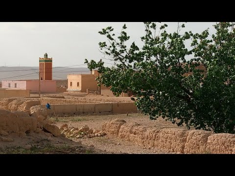 العبر والدروس لا يمكن أن تستشف الا من خلال القرآن الكريم  في كافة المجالات والميادين  تابع