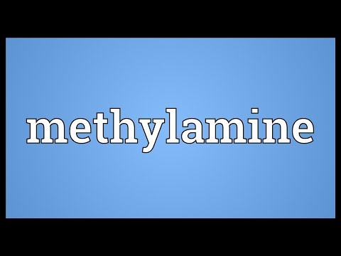 Methylamine Meaning