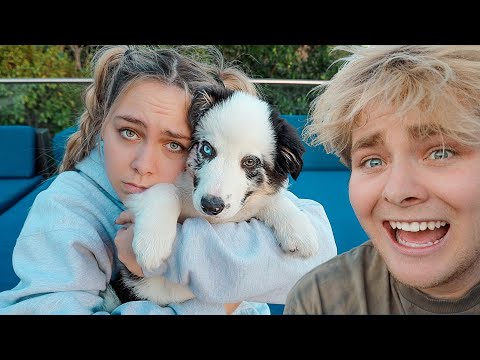 GIVING AWAY GIRLFRIEND'S PUPPY!! (PRANK)