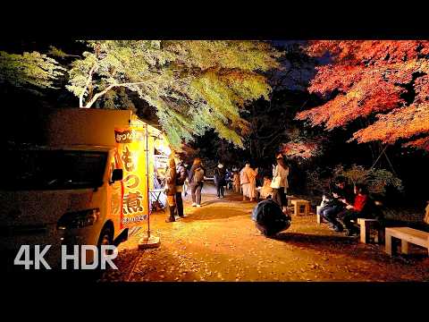 Rikugien Autumn Walk Tokyo Day and Night Illuminations | Japan